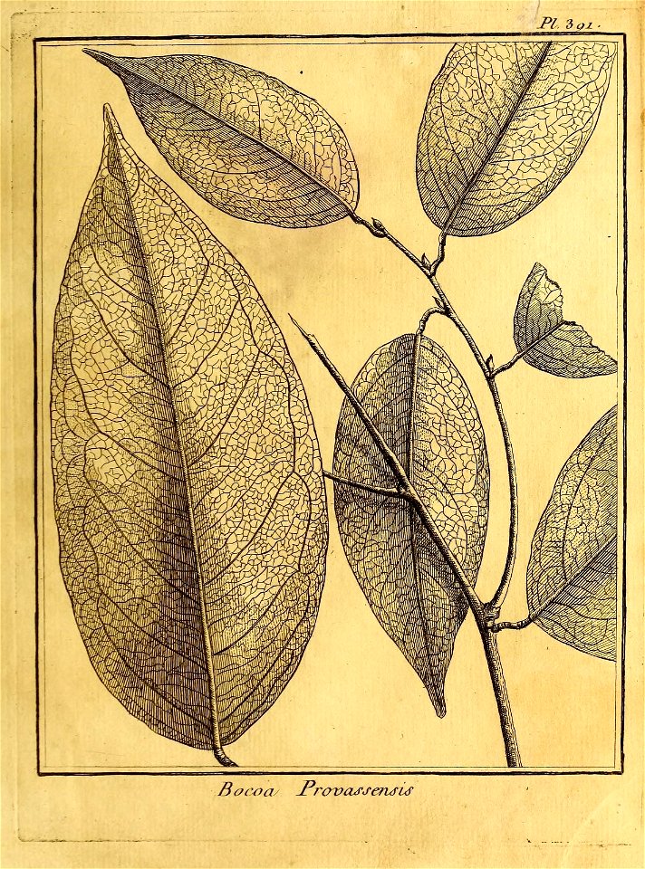 n406_w1150