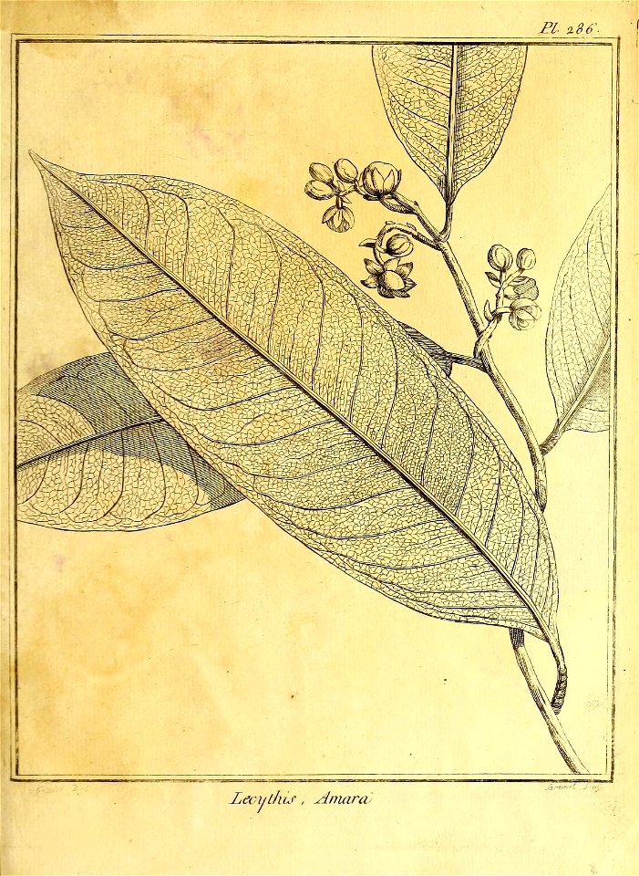 n196_w1150