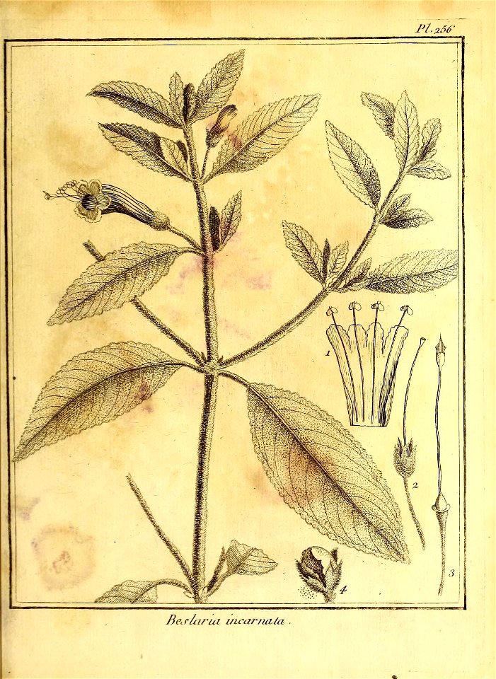 n136_w1150