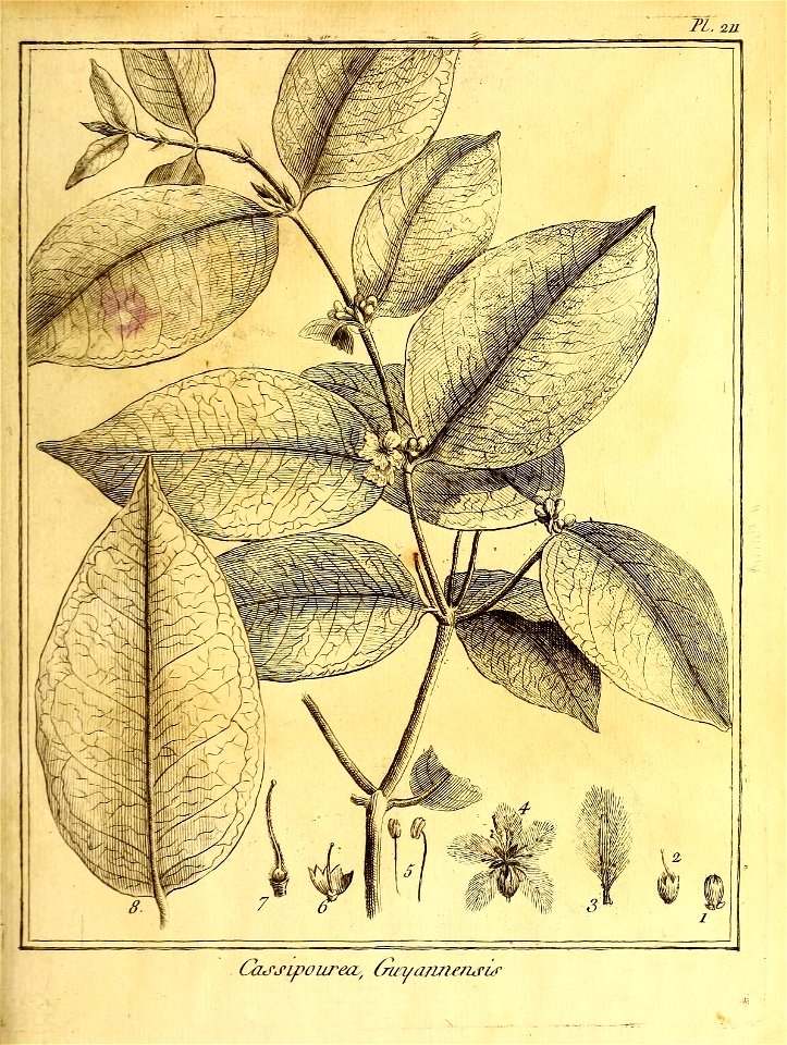 n46_w1150