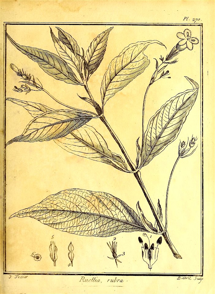 n164_w1150