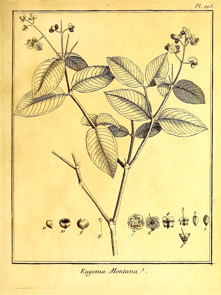 n14_w1150