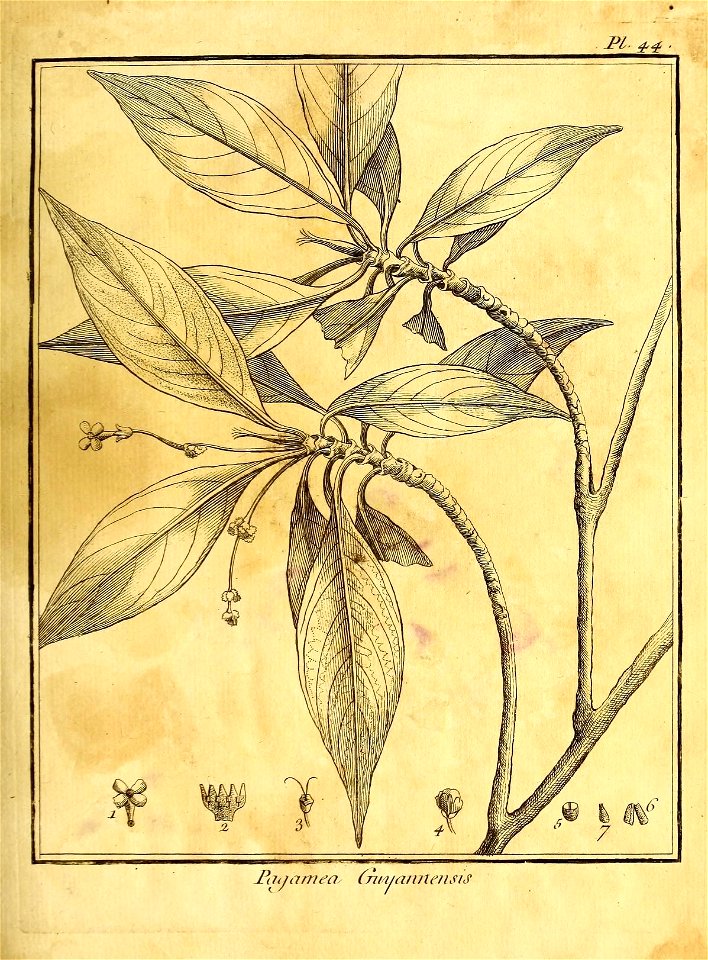 n98_w1150
