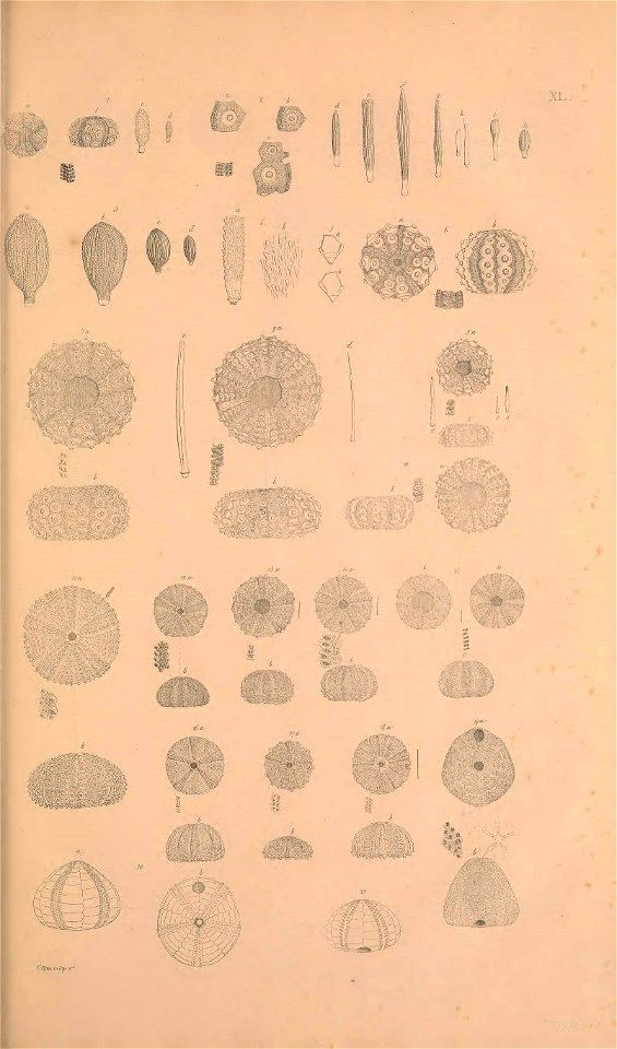 n352_w1150