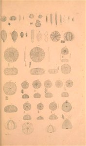 n352_w1150