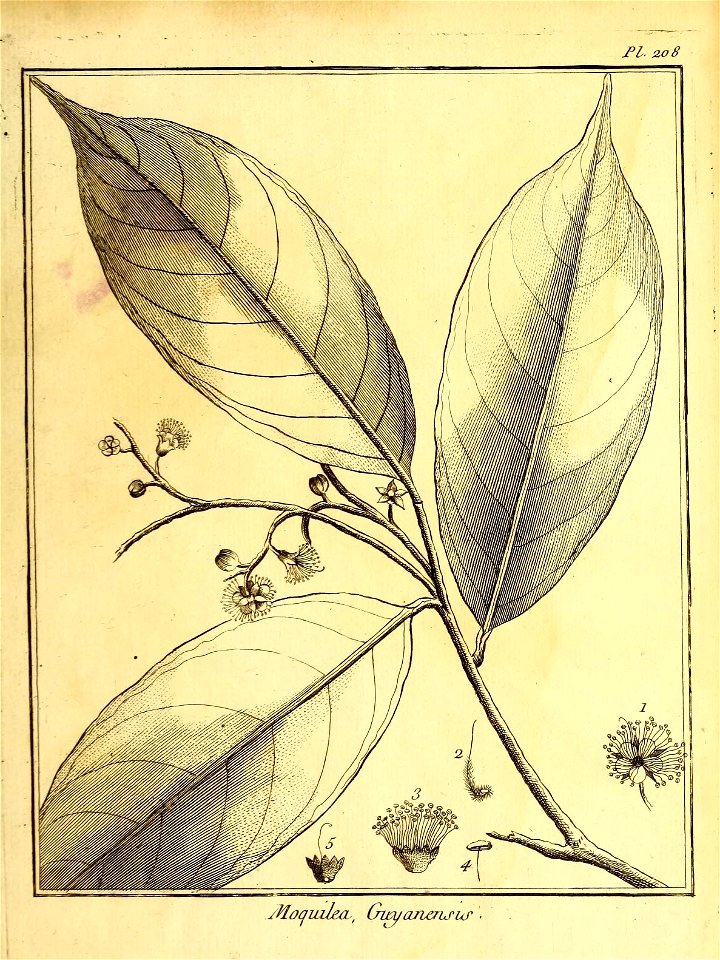 n40_w1150