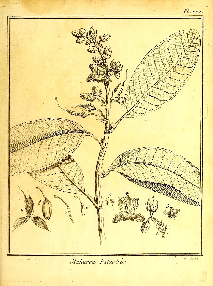 n68_w1150