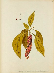 n504_w1150