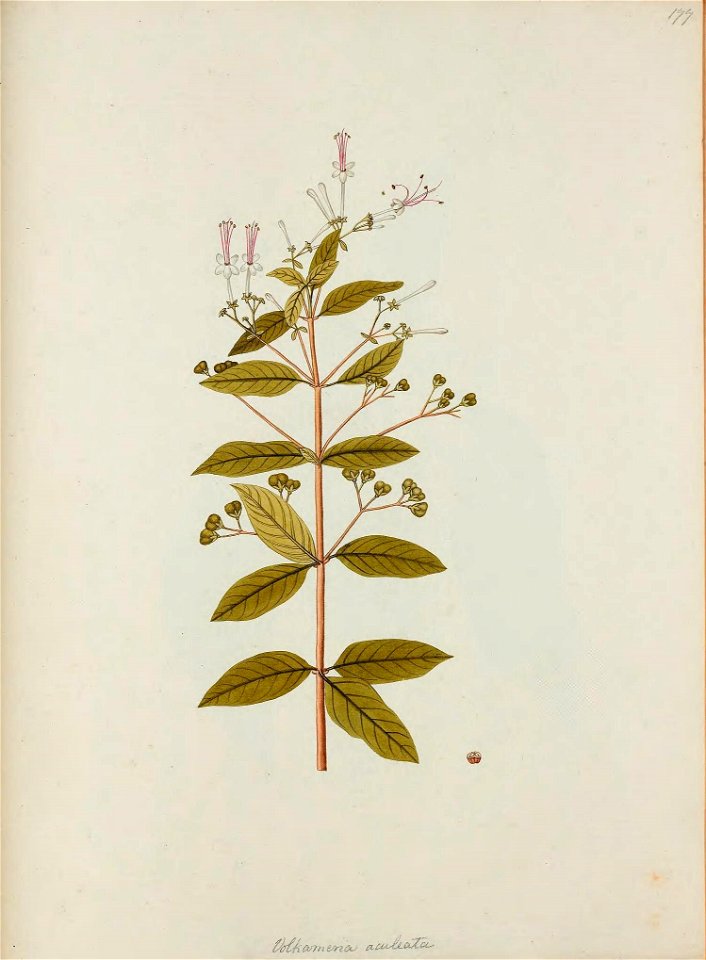 n502_w1150