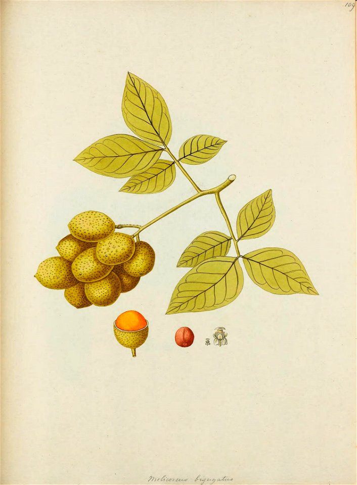 n366_w1150