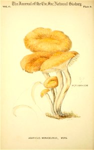 n41_w1150