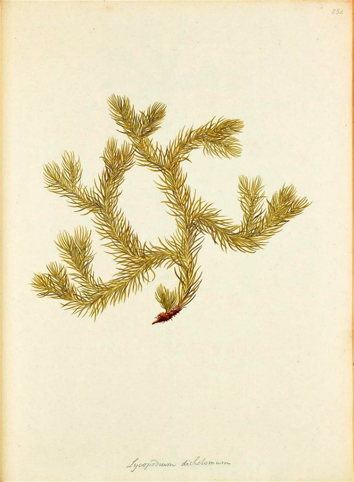 n652_w1150