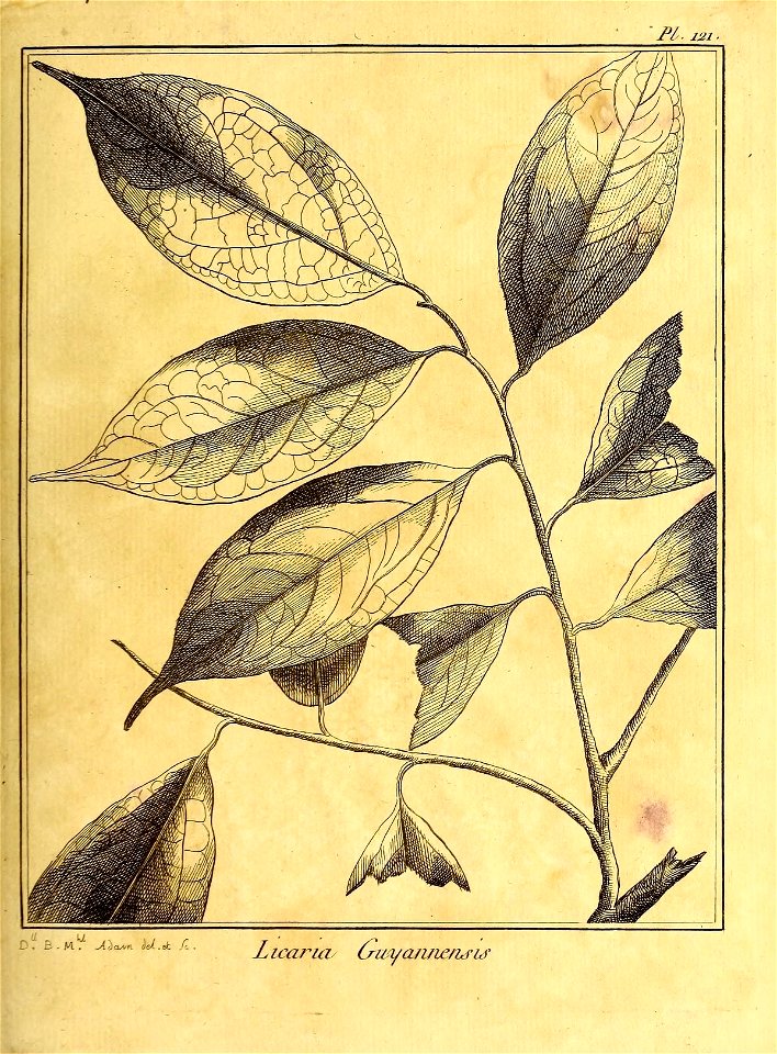 n252_w1150