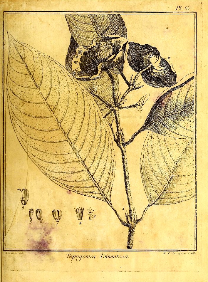 n132_w1150