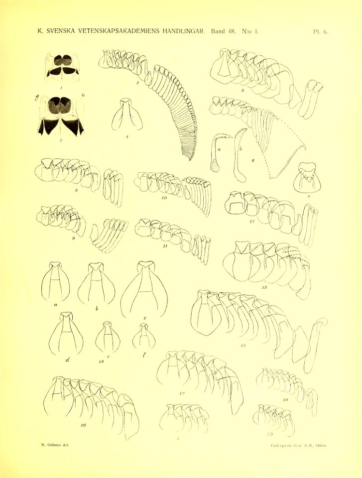 n112_w1150