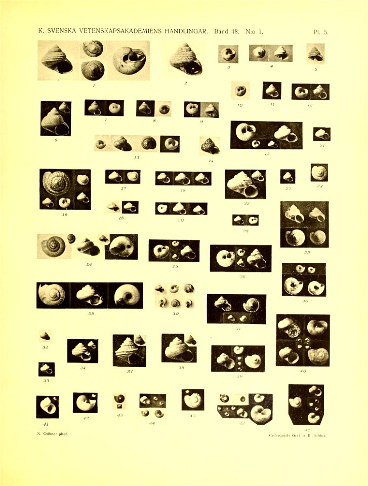 n110_w1150