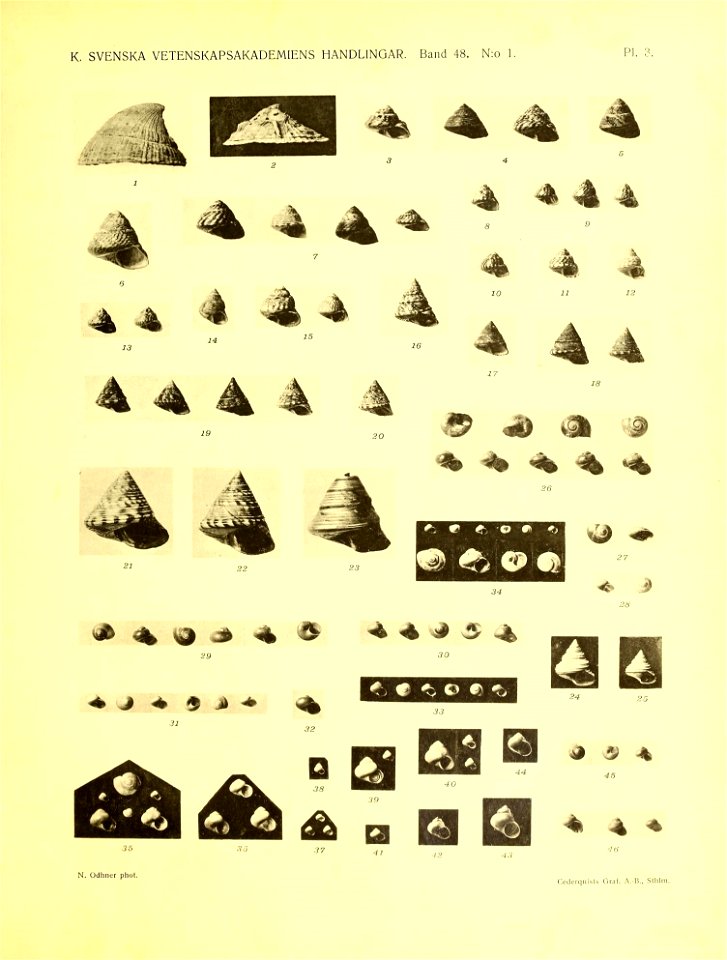 n106_w1150