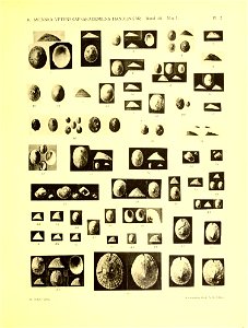 n104_w1150