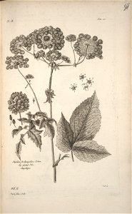 n99_w1150