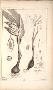 n53_w1150