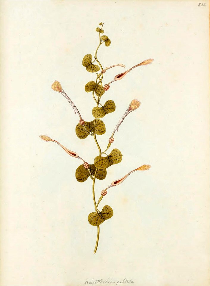 n592_w1150