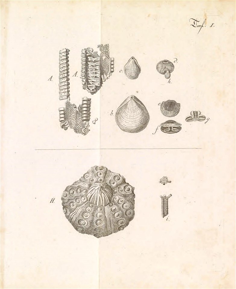 n378_w1150
