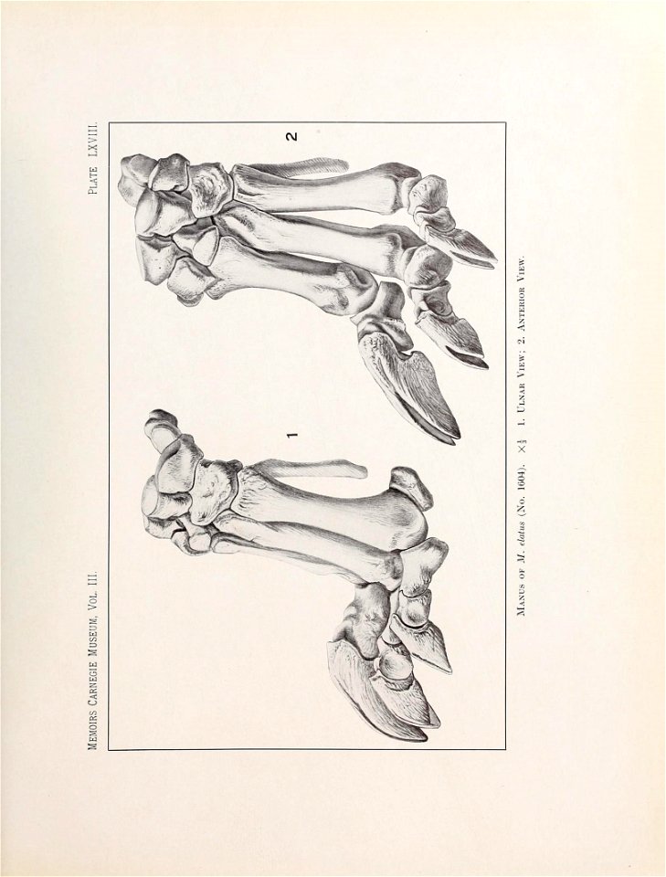 n572_w1150