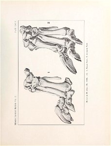 n572_w1150