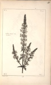 n41_w1150