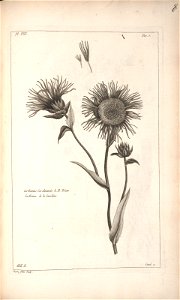 n109_w1150