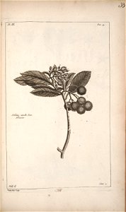 n134_w1150