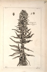 n193_w1150