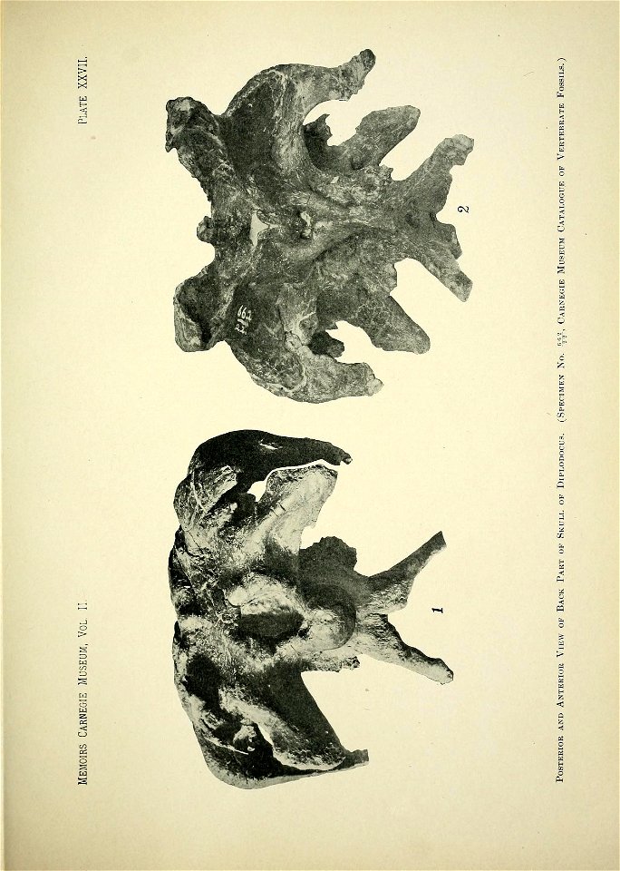 n364_w1150