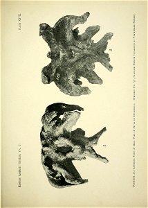 n364_w1150