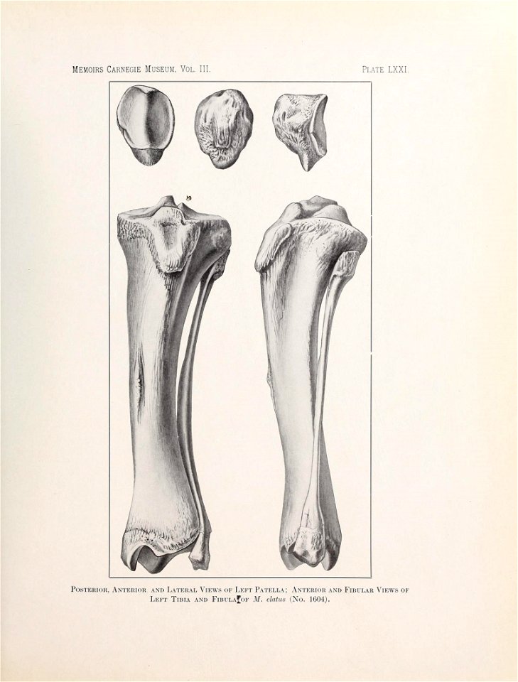 n578_w1150