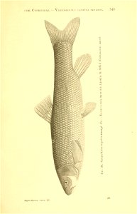 n220_w1150