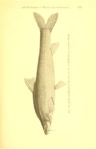 n296_w1150