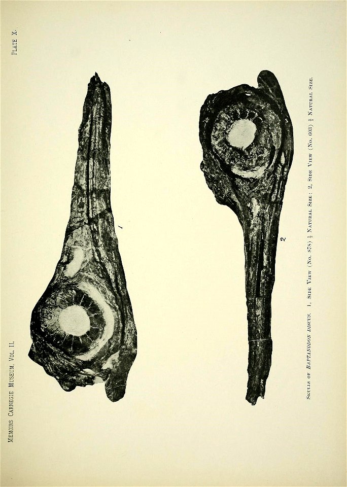 n182_w1150