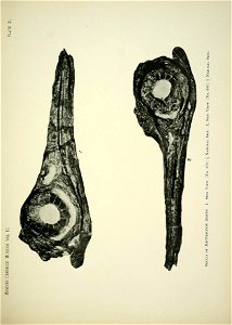 n182_w1150