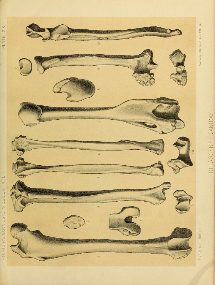 n162_w1150
