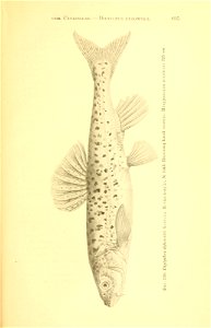 n370_w1150