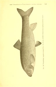 n218_w1150