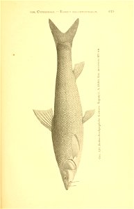 n294_w1150
