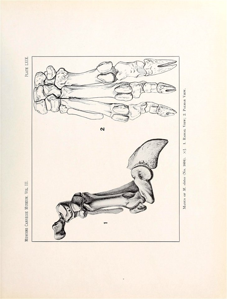 n574_w1150