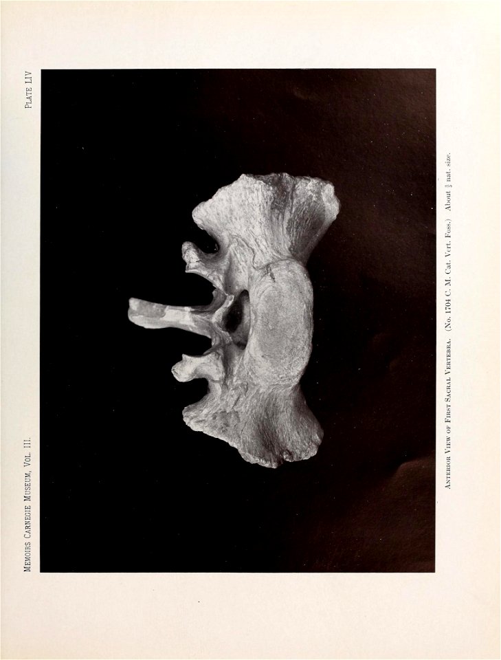 n544_w1150