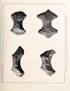 n214_w1150