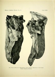 n352_w1150