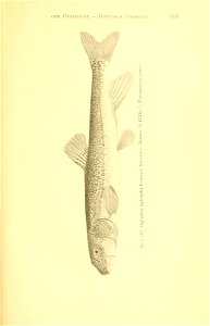 n368_w1150