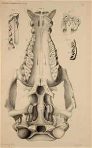 n546_w1150