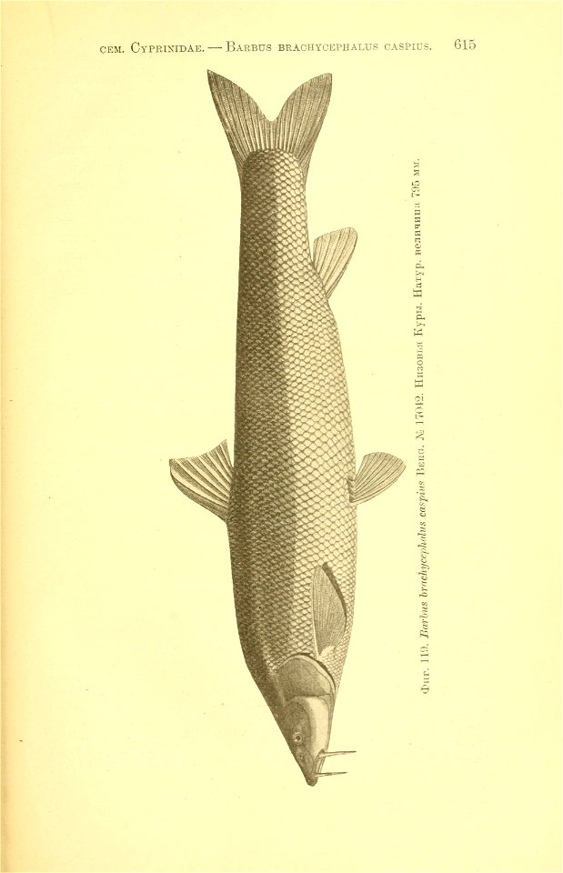 n290_w1150